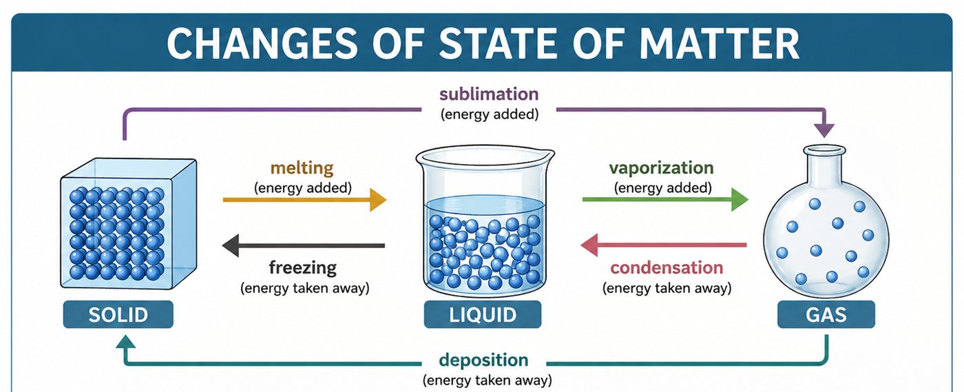 Diagram of the six phase changes: melting, freezing, vaporization, condensation, sublimation, and deposition, each with an energy-added or energy-removed arrow between solid, liquid, and gas.