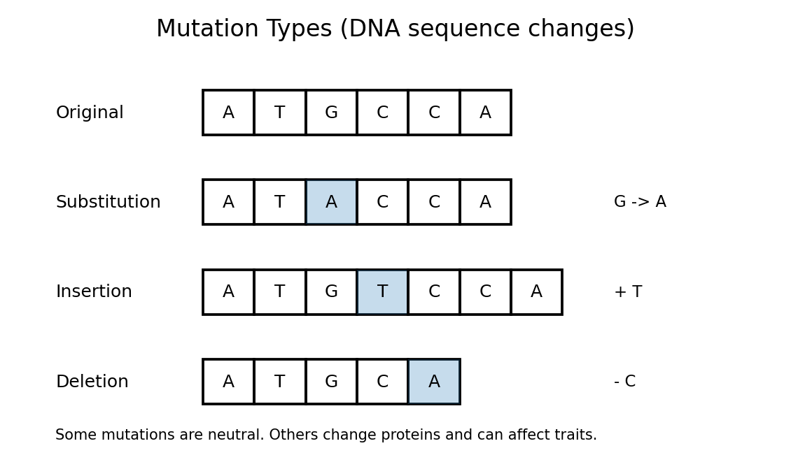 PNG diagram showing substitution, insertion, and deletion mutations in a DNA sequence.